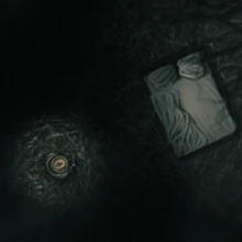 The Forest Dream Darkwood Wiki Fandom Wood stain that's too dark can affect the entire appearance of a piece of furniture or room.