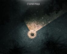 Darkwood карта старой рощи