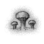 Icon mushroom glade