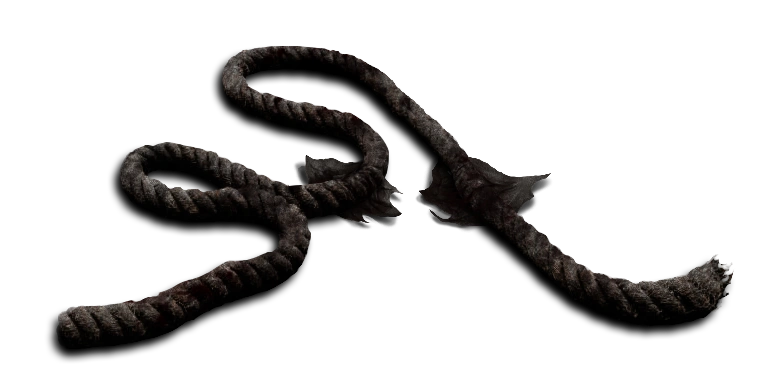 Bloodstained Rope | Darkwood Wiki | Fandom