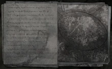 Снимок леса, сделанный с помощью вертолёта.