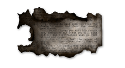 Полное изображение.