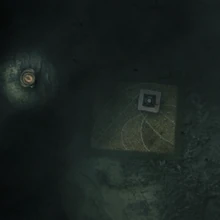 The Forest Dream Darkwood Wiki Fandom The most effective way to lighten the color of your stain is bleaching the wood with chemicals.