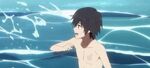 Hiro plays in the water with Zero Two.