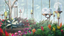 Greenhouse11.png