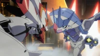 Stampede Strelizia vs Delphinium