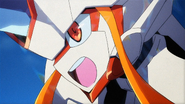 01-KOD-34-Strelizia