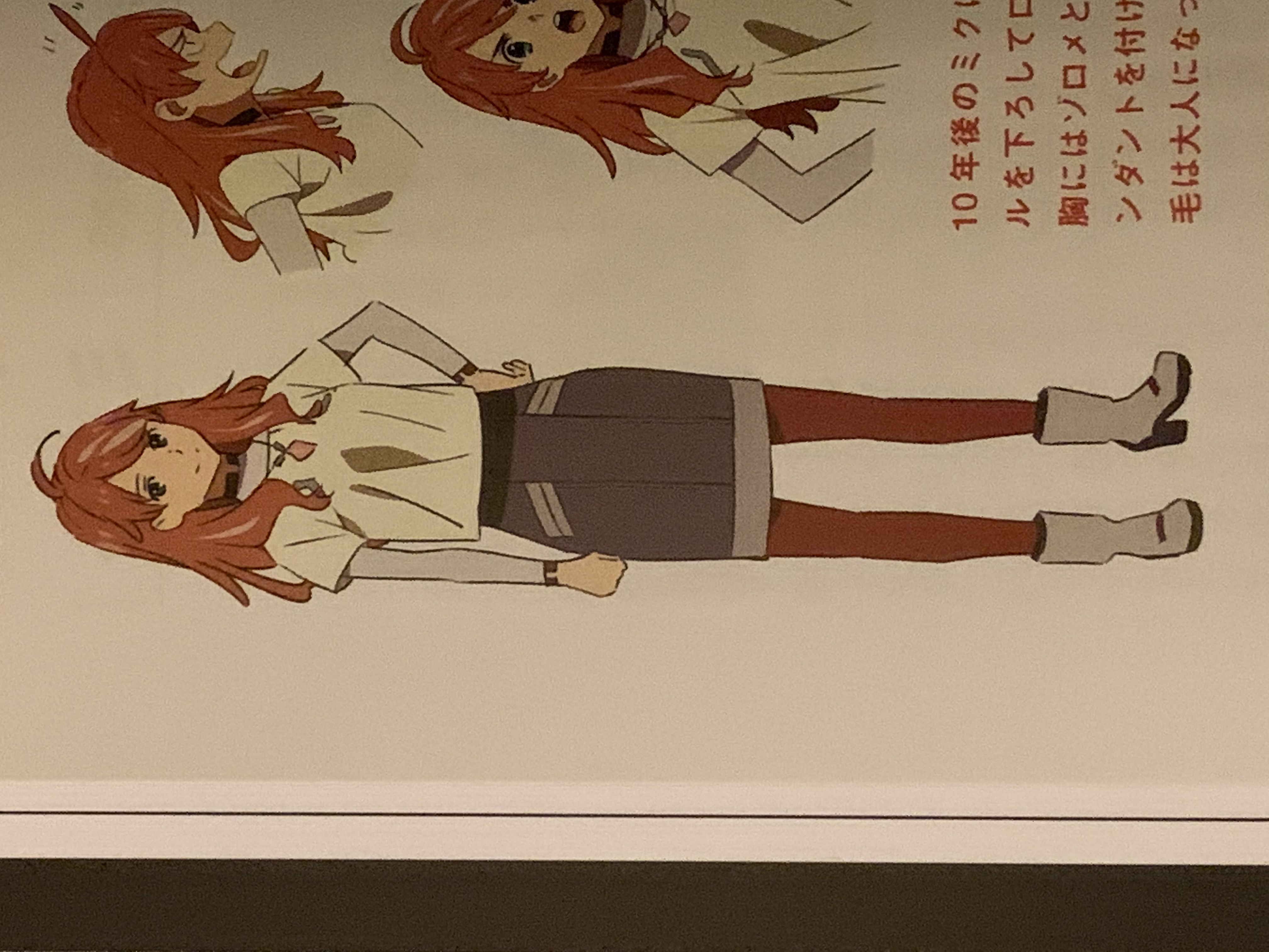 miku-personagens darling in the franxx  Querida no franxx, Design de  personagem, Anime