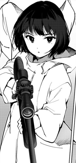 Manga (Timeskip)
