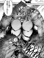 Doume Leader.png (779 KB)