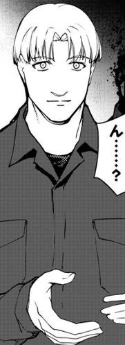 Manga (Post Timeskip)