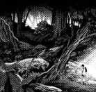 Kaname arrive sur l'île du 