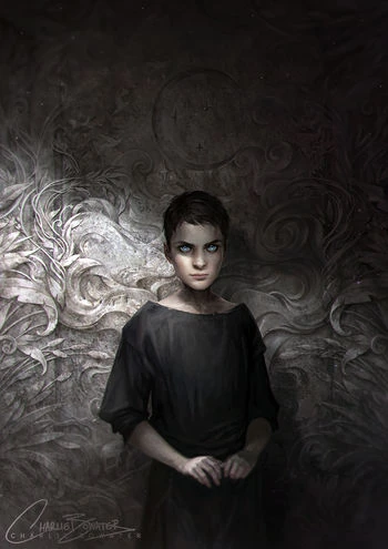 Bone Carver Das Reich der Sieben Höfe Wiki Fandom