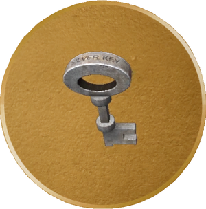 Ein Silberschlüssel (PC-Version von Fable Annivarsary)