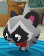 Rascal | Dash Tag Wiki | Fandom