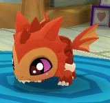 Turtles | Dash Tag Wiki | Fandom