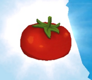 Tomatoo
