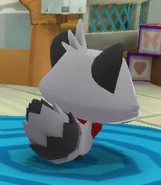 Rascal | Dash Tag Wiki | Fandom