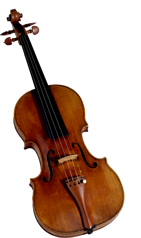 Violin Fandom