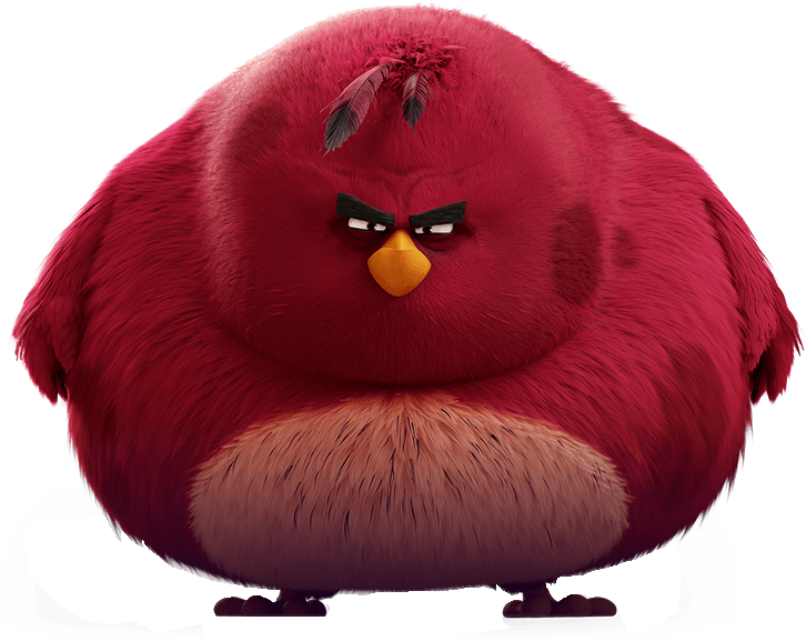 obese bird