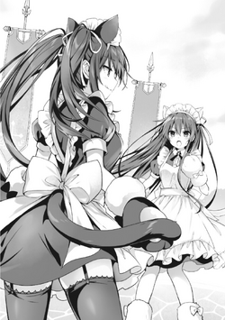 Date A Live Material, Date A Live Wiki