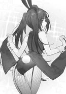 DAF Bullet 5 03.jpg (294 kio)