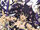 Date A Live -Bishojo Koryaku Program-