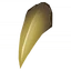 Sparkclaw Icon 001
