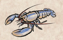 European Lobster PU