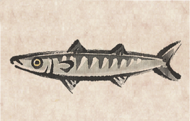 Blackfin Barracuda PU