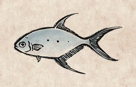 Smallspotted dart PU