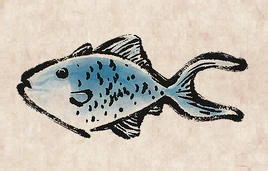 Redtoothed Triggerfish PU