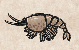 Waptia Fieldensis PU