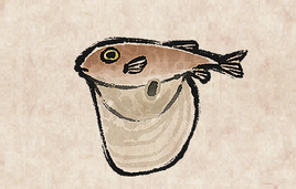 Threetooth Puffer PU