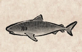 Tiger Shark PU