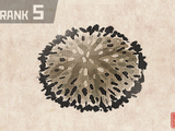 Green Sea Urchin