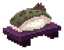 Sushi BluespottedStargazer