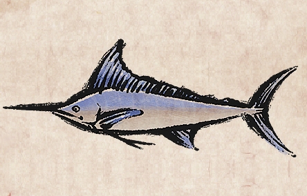 Marlin - Wikipedia