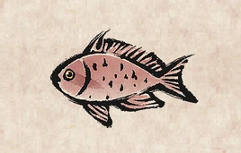 SquareSpot Anthias PU