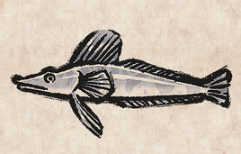 Ice Fish PU