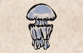 Barrel Jellyfish PU