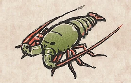 Eastern Rock Lobster PU