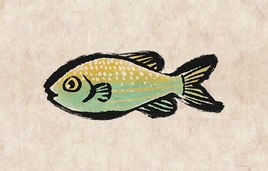 Blackspot Seabream PU