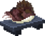 Tusked Grouper Sushi
