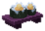 Sushi Clione