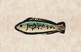 Mediterranean Rainbow Wrasse PU