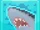 Angry Shark!