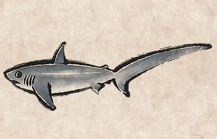 https://static.wikia.nocookie.net/dave-the-diver/images/b/b7/Thresher_Shark_PU.png/revision/latest?cb=20230728042857