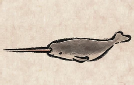 Narwhals PU