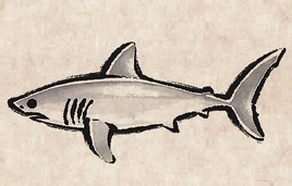 Porbeagle Shark PU